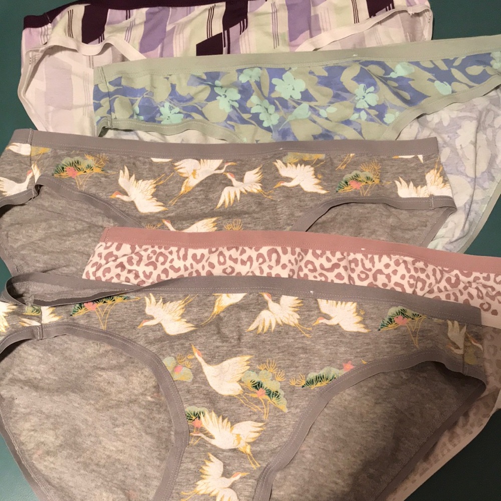 Brand new never worn panties
